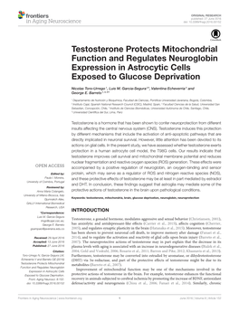 Testosterone Protects Mitochondrial Function and Regulates Neuroglobin Expression in Astrocytic Cells Exposed to Glucose Deprivation