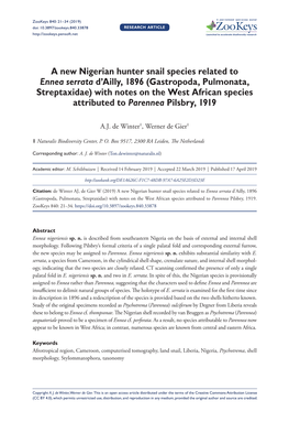 A New Nigerian Hunter Snail Species Related to Ennea Serrata D'ailly, 1896 (Gastropoda, Pulmonata, Streptaxidae) with Notes On