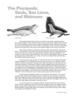 The Pinnipeds: Seals, Sea Lions, and Walruses