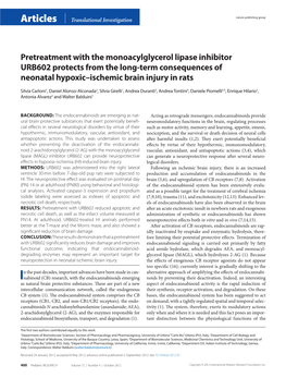 Pretreatment with the Monoacylglycerol Lipase Inhibitor URB602 Protects from the Long-Term Consequences of Neonatal Hypoxic–Is