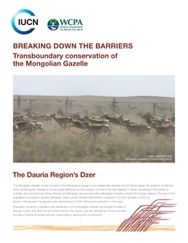 BREAKING DOWN the BARRIERS Transboundary Conservation of the Mongolian Gazelle