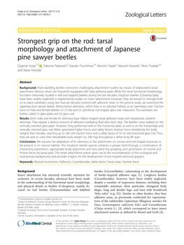 Strongest Grip on the Rod: Tarsal Morphology and Attachment of Japanese Pine Sawyer Beetles