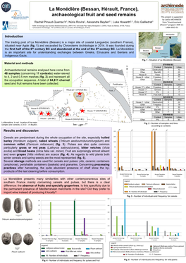 La Monédière (Bessan, Hérault, France), Archaeological Fruit And