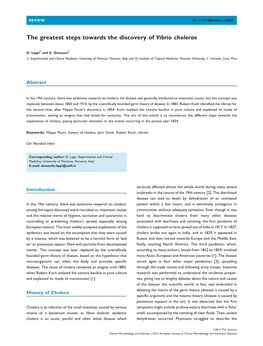 The Greatest Steps Towards the Discovery of Vibrio Cholerae