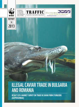 Illegal Caviar Trade in Bulgaria and Romania