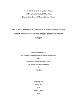 ANLN, TLE2 and MIR31HG Transcripts in Muscle Invasive Bladder Cancer