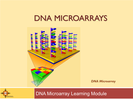 Dna Microarrays