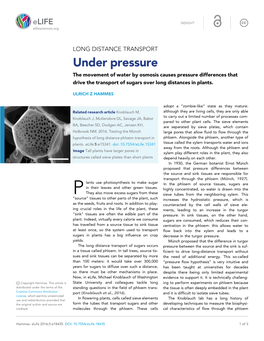 Under Pressure the Movement of Water by Osmosis Causes Pressure Differences That Drive the Transport of Sugars Over Long Distances in Plants