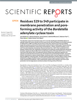 Forming Activity of the Bordetella Adenylate Cyclase Toxin