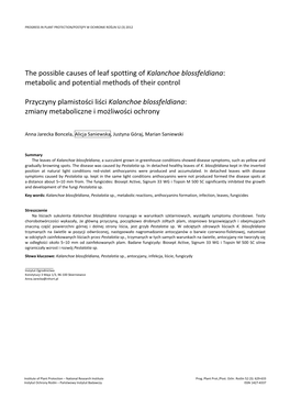 The Possible Causes of Leaf Spotting of Kalanchoe Blossfeldiana: Metabolic and Potential Methods of Their Control