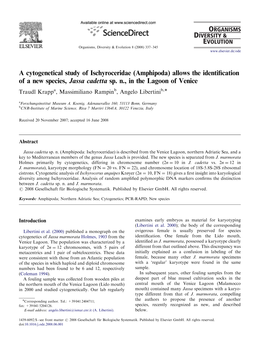 (Amphipoda) Allows the Identification of a New Species, Jassa Cadetta Sp