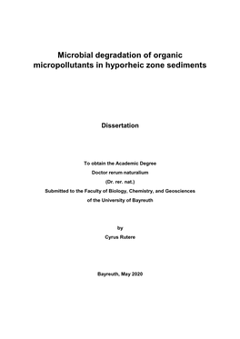 Microbial Degradation of Organic Micropollutants in Hyporheic Zone Sediments
