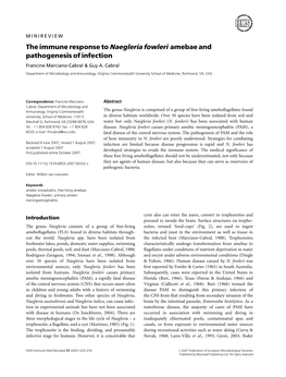 The Immune Response to Naegleria Fowleri Amebae and Pathogenesis of Infection Francine Marciano-Cabral & Guy A