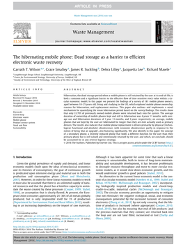 Dead Storage As a Barrier to Efficient Electronic Waste