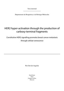 Her2 Hyper-Activation Through the Production of Carboxy-Terminal Fragments