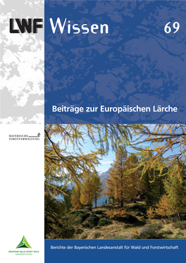 Europäische Lärche Zum Baum Des Jahres Gewählt Worden