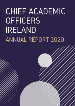 Link to CAO Annual Report 2020