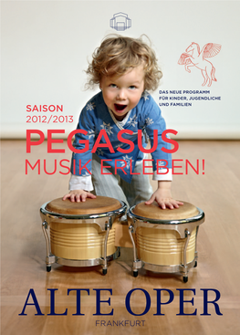 Pegasus Musik Erleben! 2