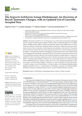 The Epipactis Helleborine Group (Orchidaceae): an Overview of Recent Taxonomic Changes, with an Updated List of Currently Accepted Taxa