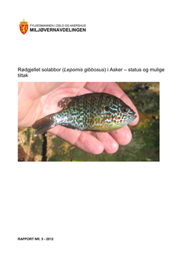 Rødgjellet Solabbor (Lepomis Gibbosus) I Asker – Status Og Mulige Tiltak