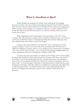 What Is Gaudium Et Spes?