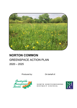 Norton Common Greenspace Action Plan 2020 – 2025