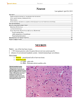 A3. Neuron.Pdf