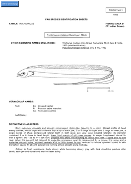 TRICH Tent 1 1983 FAO SPECIES IDENTIFICATION SHEETS FAMILY