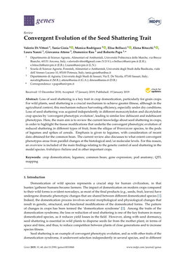 Convergent Evolution of the Seed Shattering Trait