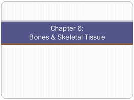 Chapter 6: Bones & Skeletal Tissue