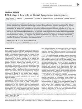 E2F4 Plays a Key Role in Burkitt Lymphoma Tumorigenesis