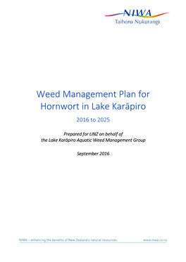 Master Copy, Karapiro WMP Phase