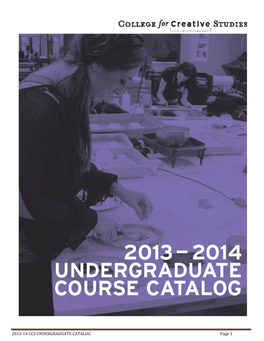 BFA Course Catalog 13-14