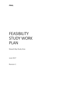 Feasibility Study Work Plan