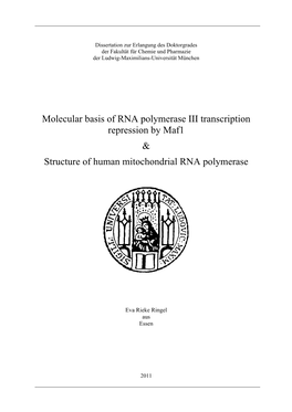 Molecular Basis of RNA Polymerase III Transcription Repression by Maf1