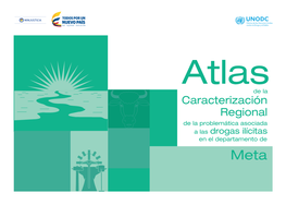 Caracterización Regional De La Problemática Asociada a Las Drogas Ilícitas En El Departamento De Meta