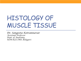 Histology of Muscle Tissue