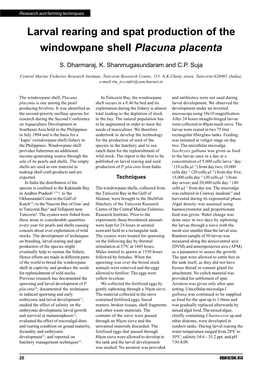 Larval Rearing and Spat Production of the Windowpane Shell Placuna Placenta