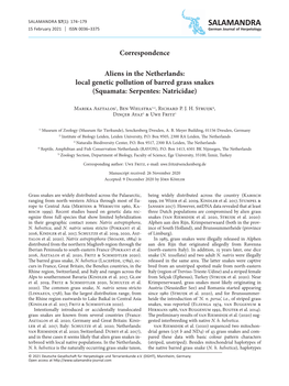 Local Genetic Pollution of Barred Grass Snakes (Squamata: Serpentes: Natricidae)