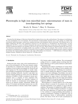 Phototrophs in High Iron Microbial Mats: Microstructure of Mats in Iron-Depositing Hot Springs