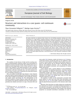 Structure and Interactions in a Cave Guano-Soil Continuum Community