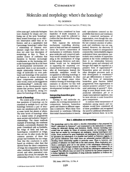 Molecules and Morphology: Where's the Homology?