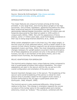 BIPEDAL ADAPTATIONS in the HOMINID PELVIS Source: Wanna Be Anthropologist: Anthropologist.Com/Wba Writing Pe