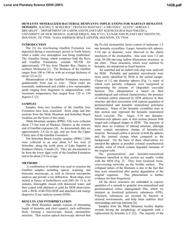 Hematite Mineralized Bacterial Remnants: Implications for Martian Hematite Deposits