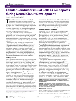 Glial Cells As Guideposts During Neural Circuit Development Daniel A