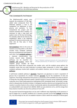 The Shikimate Pathway, a Hub in Cell Metabolism, for Application in Food, Pharma and Cosmetics