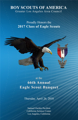 2017 Class of Eagle Scouts