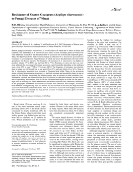 Resistance of Sharon Goatgrass (Aegilops Sharonensis) to Fungal Diseases of Wheat