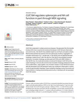 CLEC16A Regulates Splenocyte and NK Cell Function in Part Through MEK Signaling