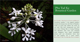 Pha Tad Ke Botanical Garden Newsletter Nr